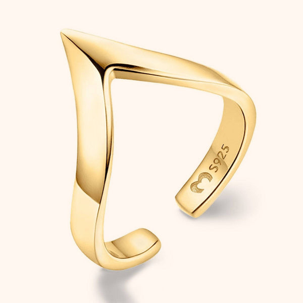 Vision Ring
